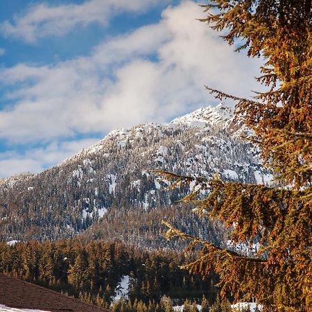 Updated Whistler Creek Studio With Parking ويسلار المظهر الخارجي الصورة