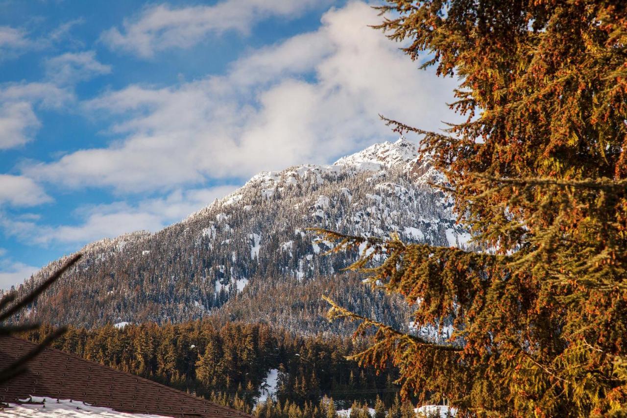 Updated Whistler Creek Studio With Parking ويسلار المظهر الخارجي الصورة